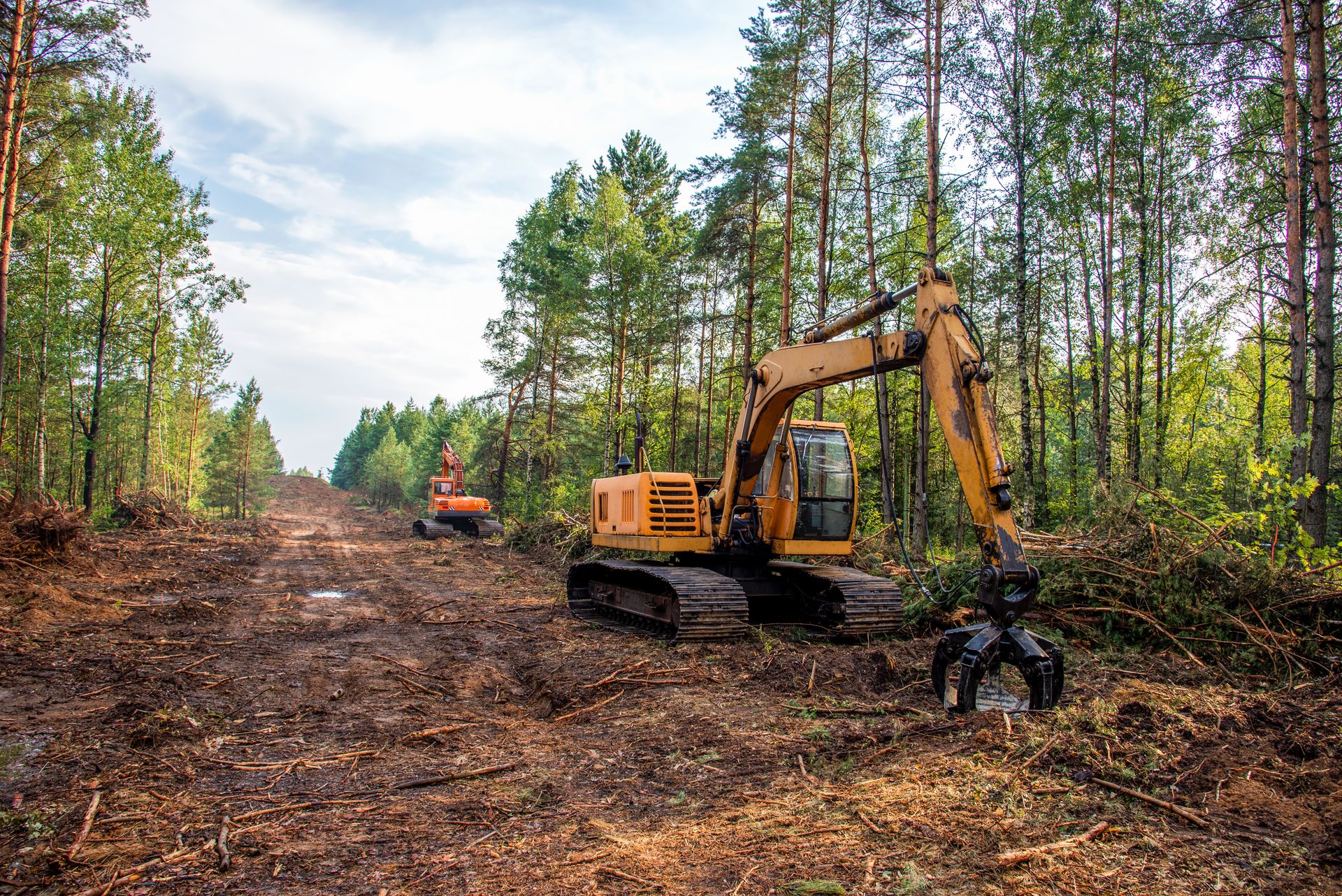 Southwest Sawyers Land Clearing in Flagstaff Arizona to make way for long driveway and a new house.